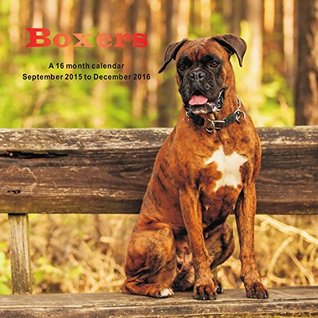 Read Online Boxers Calendar - 2016 Wall calendars - Dog Calendars - Monthly Wall Calendar by Magnum -  file in PDF