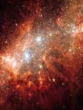 Read Online Supernova Survivor: First Supernova Companion Star Found - J.D.P. | PDF