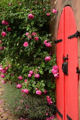Read Online A Red Door and Pink Garden Roses: Blank 150 Page Lined Journal for Your Thoughts, Ideas, and Inspiration -  file in ePub