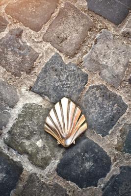Full Download Pilgrim's Shell on the Camino de Santiago de Compostela Spain Journal: 150 Page Lined Notebook/Diary -  file in PDF