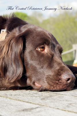 Read Online Flat Coated Retriever January Notebook Flat Coated Retriever Record, Log, Diary, Special Memories, To Do List, Academic Notepad, Scrapbook & More - Breeds Of Beauty file in ePub
