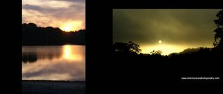 Download Flower and Fine Art Prints by Wall Decor Prints - Roger Seawright | PDF