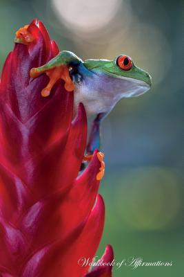 Read Red Eyed Tree Frog Workbook of Affirmations Red Eyed Tree Frog Workbook of Affirmations: Bullet Journal, Food Diary, Recipe Notebook, Planner, To Do List, Scrapbook, Academic Notepad - Alan Haynes | ePub