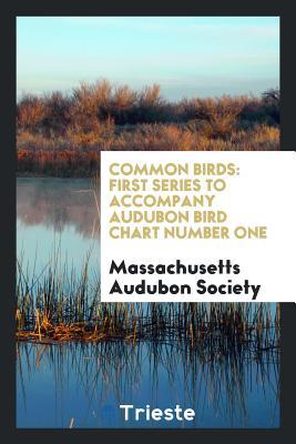 Full Download Common Birds: First Series to Accompany Audubon Bird Chart Number One - Massachusetts Audubon Society file in ePub