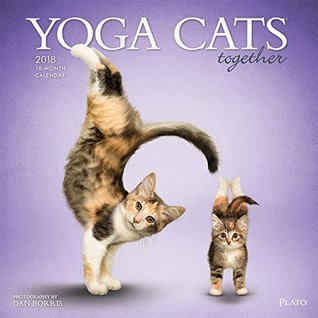 Download Yoga Cats Together 2018 12 x 12 Inch Monthly Square Wall Calendar by Plato with with Foil Stamped Cover, Animals Humor Cats -  file in PDF