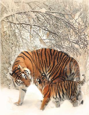 Read Online Nature Journal: Tiger Mother and Cub: Blank and Lined Nature Notebook for Nature Journaling and Sketching -  | ePub