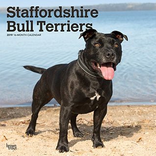 Read Staffordshire Bull Terriers 2019 12 x 12 Inch Monthly Square Wall Calendar, Animals Dog Breeds (Multilingual Edition) -  | PDF